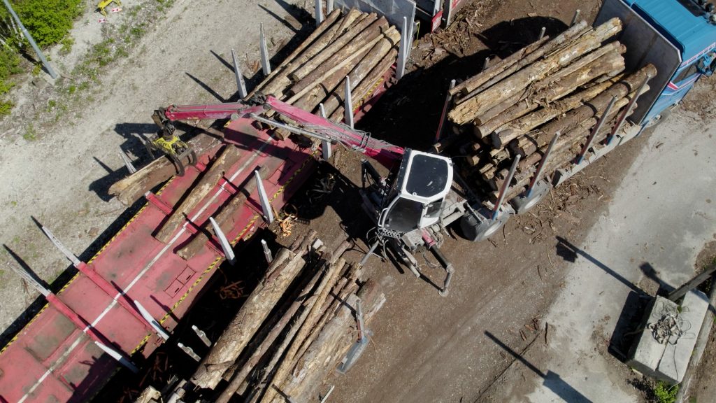 RCG and Papierholz. Image: RCG