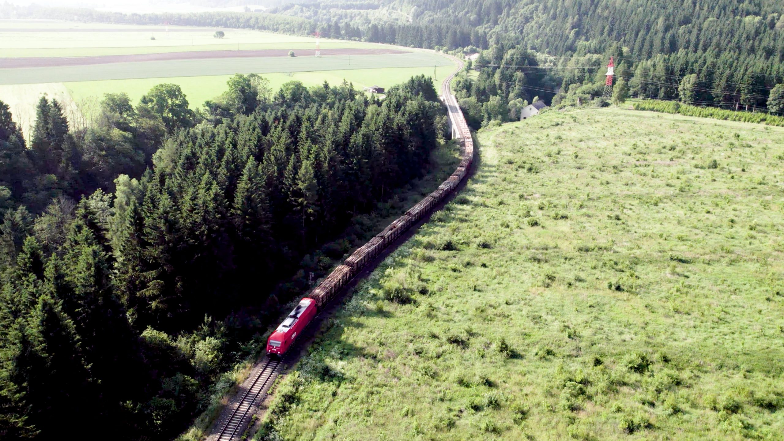 RCG train for Papierholz